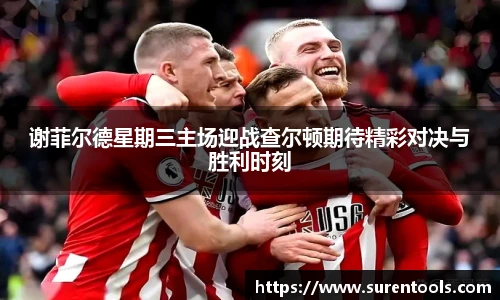 谢菲尔德星期三主场迎战查尔顿期待精彩对决与胜利时刻